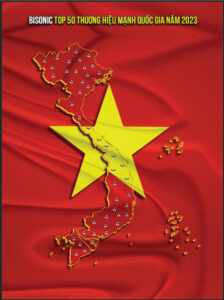 Màn hình android Bisonic